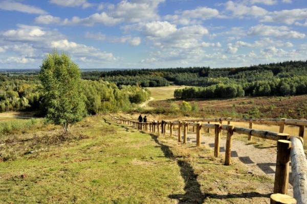 Chalet Veluwe Wageningenヴィラ エクステリア 写真