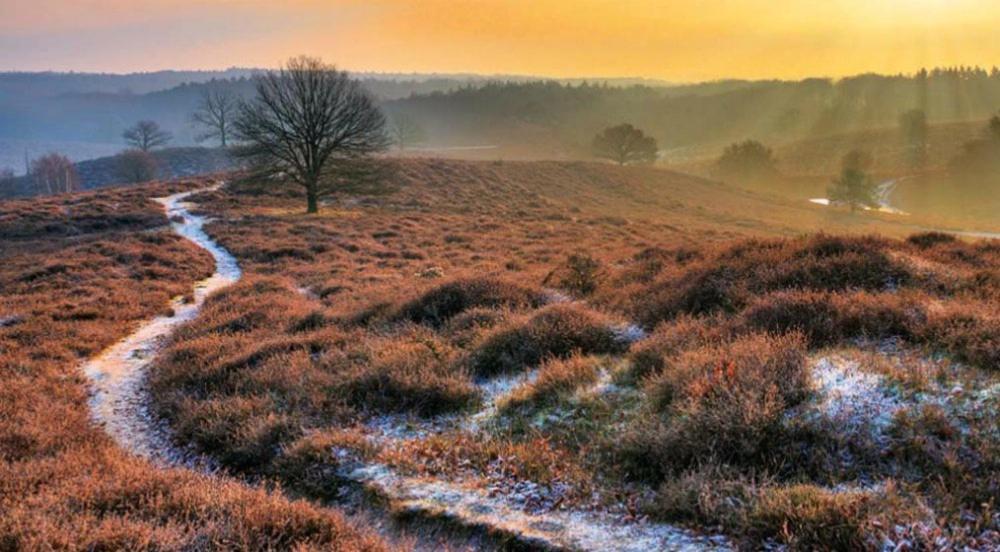 Chalet Veluwe Wageningenヴィラ エクステリア 写真